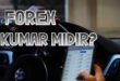 forex kumar mıdır Yatırım psikolojisi ve Metatrader etkileri